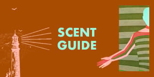 Scent Guide